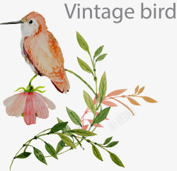 手绘站在花枝上的小鸟矢量图素材