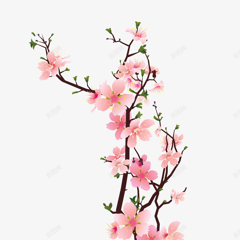 手绘粉色桃花树枝png免抠素材_新图网 https://ixintu.com 手绘桃花 手绘桃花瓣 桃花 桃花花瓣 水彩桃花 粉色桃花 花瓣