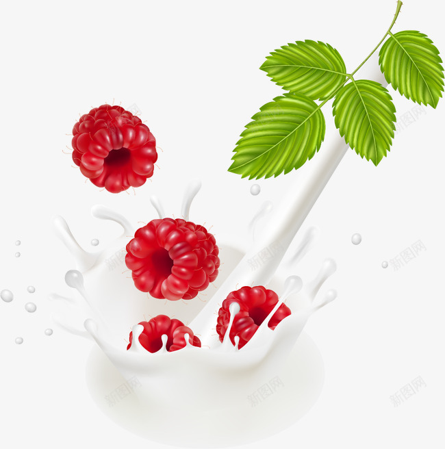 桑葚水果牛奶滴喷溅png免抠素材_新图网 https://ixintu.com 喷溅 桑葚 水果 滴 牛奶