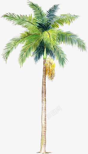 手绘蓝绿色夏季椰树png免抠素材_新图网 https://ixintu.com 夏季 椰树 蓝绿色