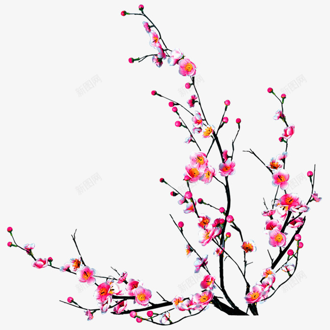 粉色桃花树枝装饰图案png免抠素材_新图网 https://ixintu.com 免抠PNG 树枝 桃花 桃花枝 粉色 装饰图案