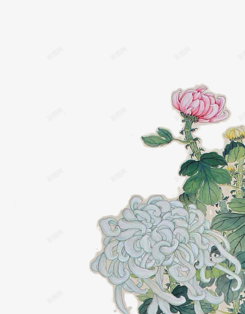 牡丹花上的小鸟png免抠素材_新图网 https://ixintu.com 小鸟 手绘 牡丹花 绿叶