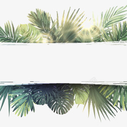 绿色清新热带树叶装饰背景素材
