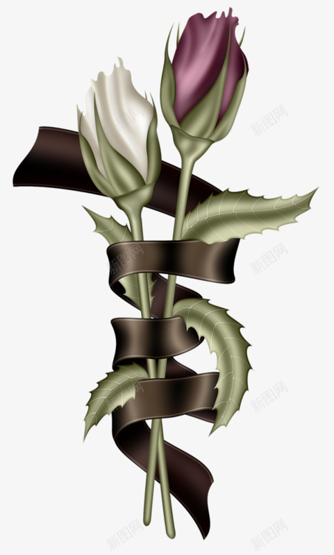 丝带缠绕的一红一白两朵花png免抠素材_新图网 https://ixintu.com 丝带缠绕 植物 白色 红色 花朵