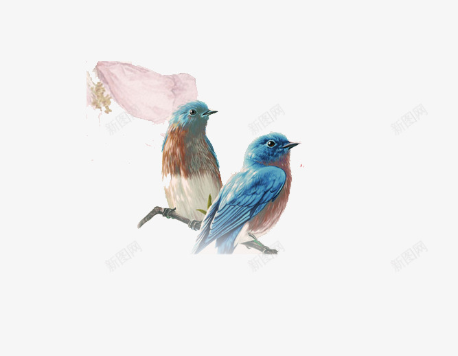 素描画png免抠素材_新图网 https://ixintu.com 小鸟 树枝 花瓣