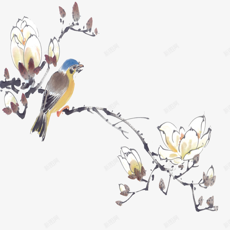 鸟在枝头png免抠素材_新图网 https://ixintu.com 中国风 小鸟 树枝 花枝 鸟在枝头
