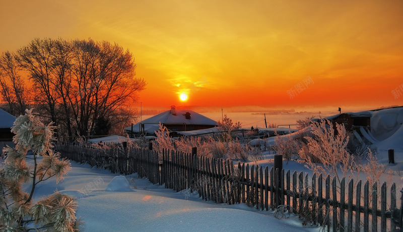 冬季夕阳雪地树林png免抠素材_新图网 https://ixintu.com 冬季 夕阳 树林 雪地