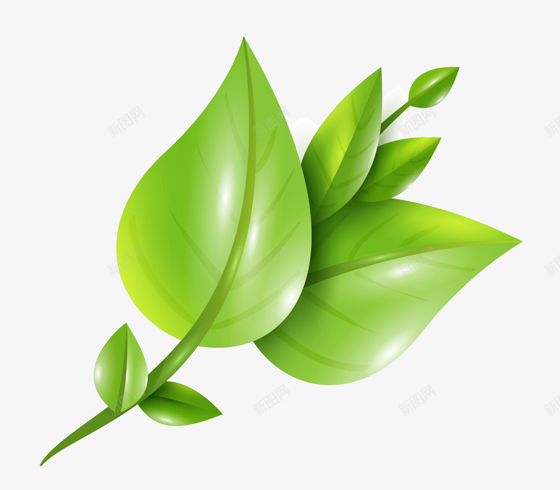 唯美绿色叶子png免抠素材_新图网 https://ixintu.com 唯美叶子 大自然 温馨 白色光晕 绿色叶子 绿色枝条