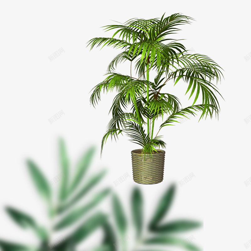 产品实物绿色花盆盆栽psd免抠素材_新图网 https://ixintu.com 产品实物 叶子 夏季 树叶 植物 盆栽 绿叶 绿色 绿色叶子 花盆