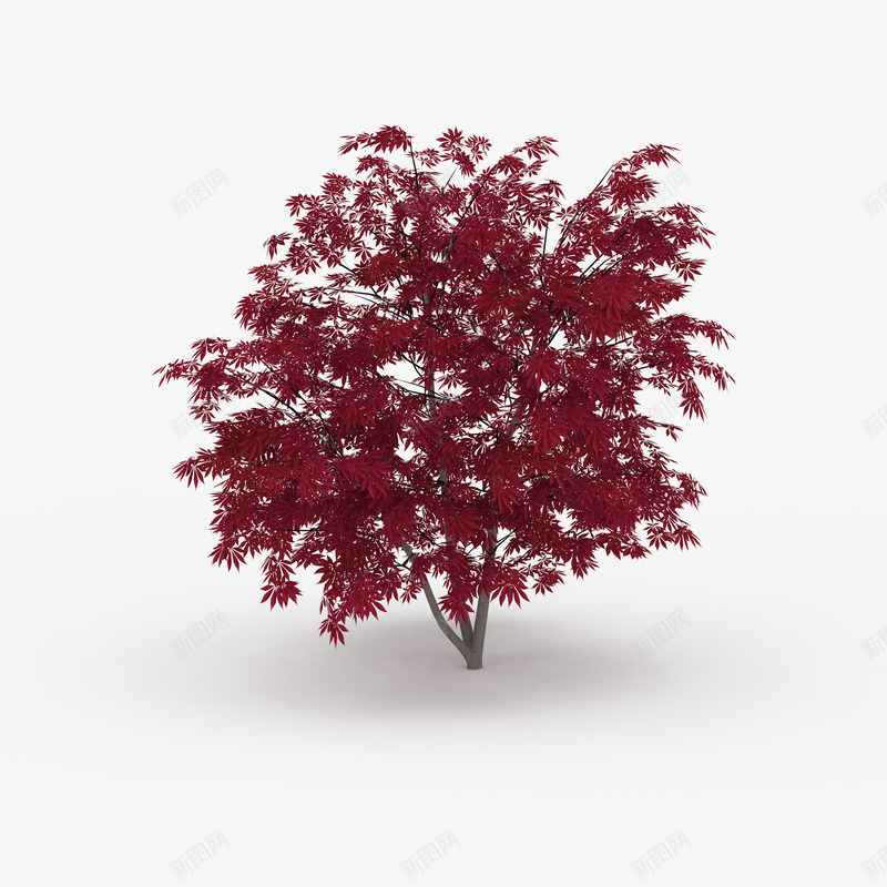 分叉红色叶子树枝树木png免抠素材_新图网 https://ixintu.com 分叉红色叶子树枝树木 叶子 树木 红叶树 红色 红色叶子