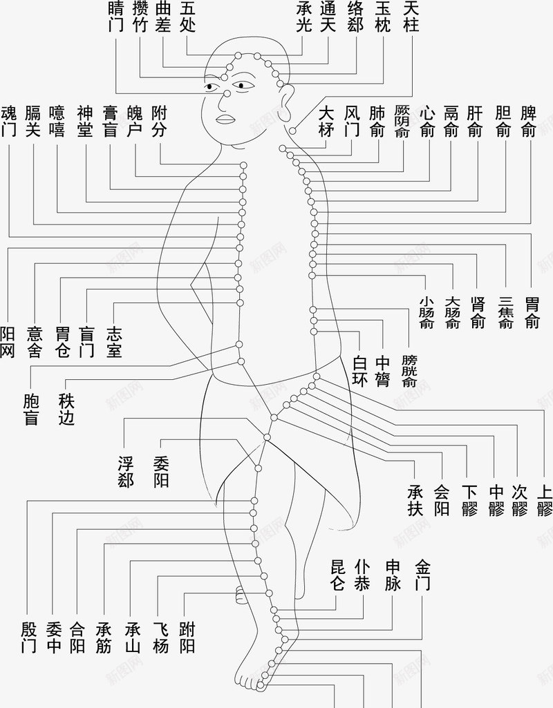 养生穴位图png免抠素材_新图网 https://ixintu.com 人物 养生 古代 穴位 穴位图