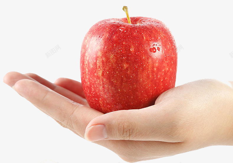 手拿苹果图png免抠素材_新图网 https://ixintu.com 手拿苹果 水果 苹果
