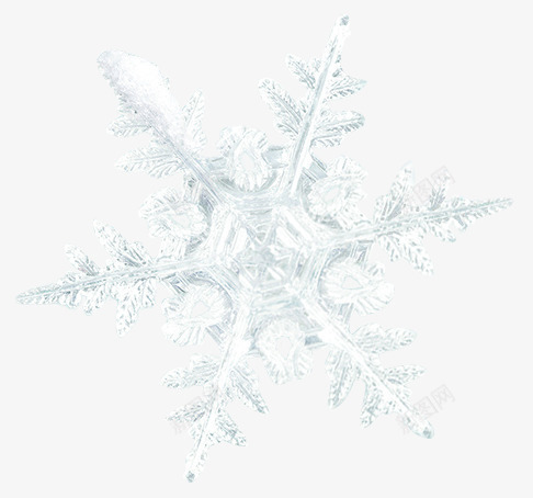 清新白色冬季雪花图标png_新图网 https://ixintu.com 冬季 图标 清新 白色 雪花