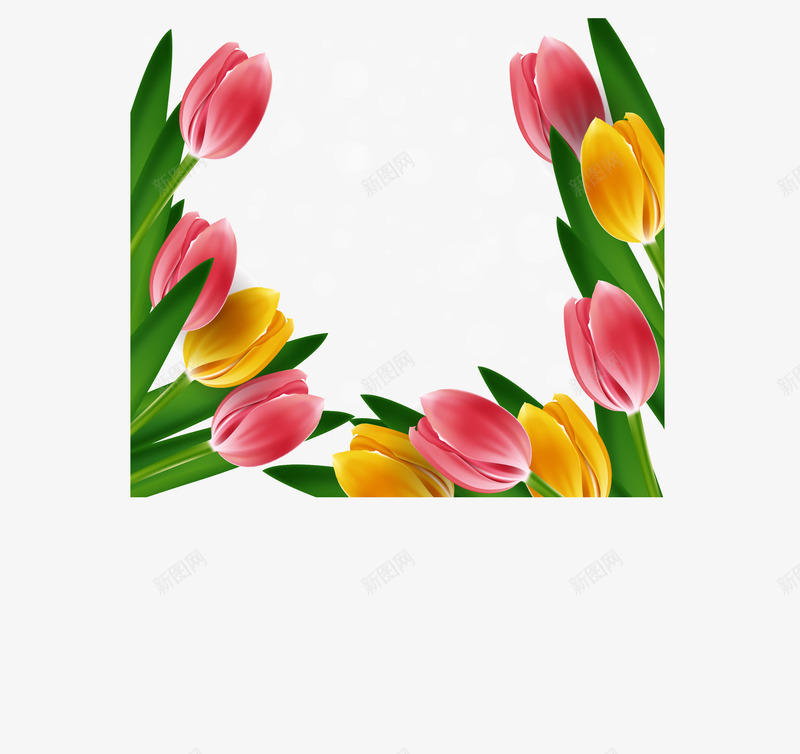 精致郁金香背景png免抠素材_新图网 https://ixintu.com 光晕 春季 植物 精致 背景 花卉 花瓣 郁金香