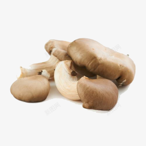 菌菇秀珍菇png免抠素材_新图网 https://ixintu.com 产品实物 秀珍菇 菌菇蘑菇 蔬菜蘑菇 蘑菇 黑牡丹菇
