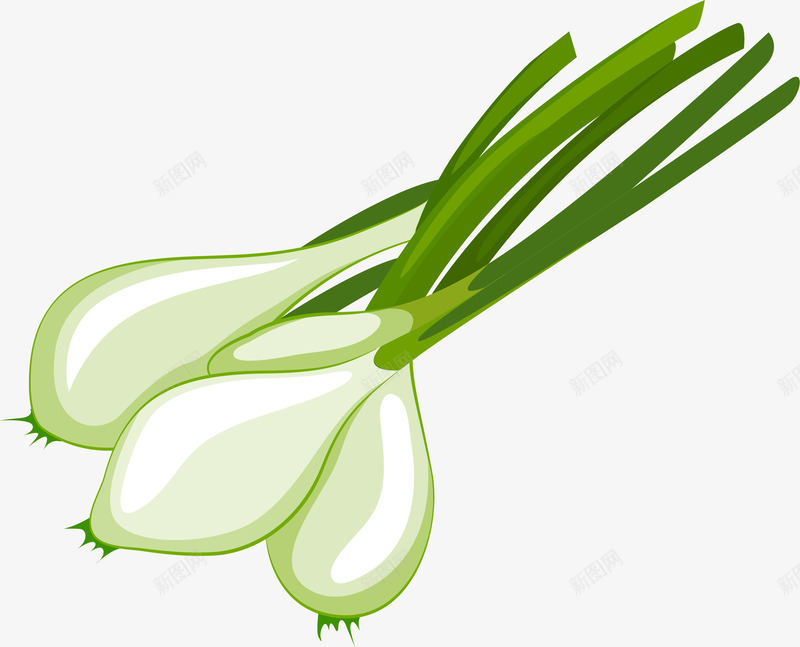 卡通手绘蔬菜装饰海报蒜头png免抠素材_新图网 https://ixintu.com 卡通植物插画 卡通装饰 小清新插画 广告设计 海报设计 美食 蒜头 蔬菜 蔬菜插画