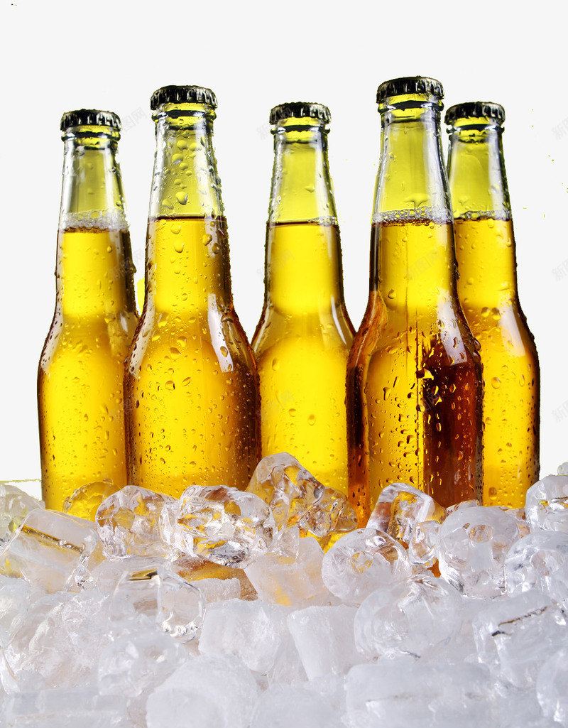 啤酒饮料冰块png免抠素材_新图网 https://ixintu.com 冰块 啤酒 饮料