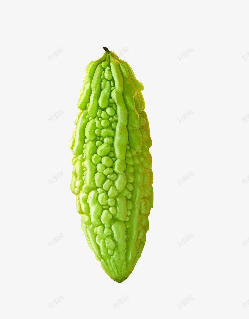 苦瓜png免抠素材_新图网 https://ixintu.com 绿色 苦瓜 蔬菜