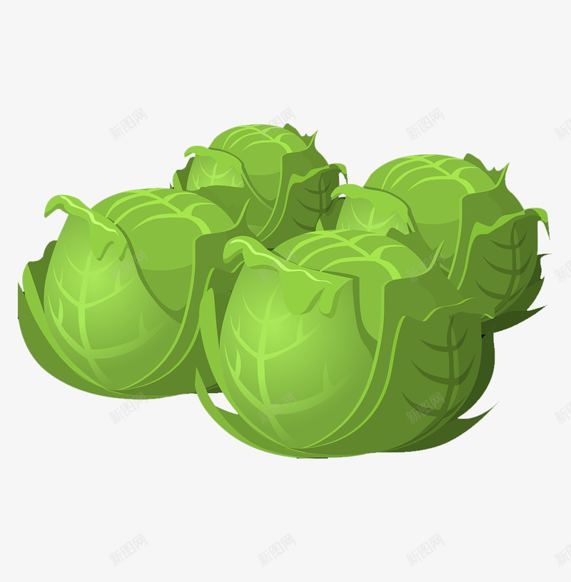 卡通蔬菜卷心菜每日必需补充png免抠素材_新图网 https://ixintu.com 卡通 卷心菜 卷心菜插画 每日必需 维生素 营养 蔬菜 补充