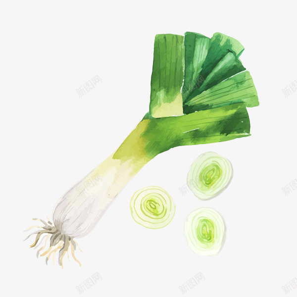 大蒜水墨图png免抠素材_新图网 https://ixintu.com 彩绘 手绘插画 绿色蔬菜 食材 餐饮