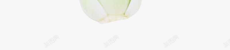 一颗绿色叶子的青菜实物png免抠素材_新图网 https://ixintu.com 绿叶 美味 美食 菜肴 蔬菜 青菜 食品药品 食物 食用 饮用