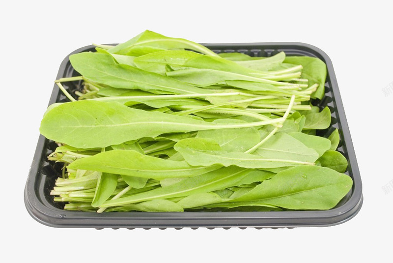 一盘芝麻菜png免抠素材_新图网 https://ixintu.com 一盘芝麻菜 实物 有机 素食主义 美味 芝麻叶 芝麻菜 苦味 药草 蔬菜 饮食
