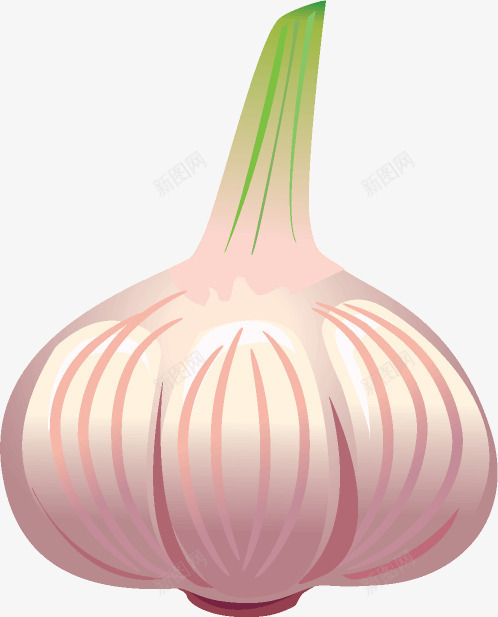 卡通蔬菜大蒜png免抠素材_新图网 https://ixintu.com 卡通 大蒜 蔬菜