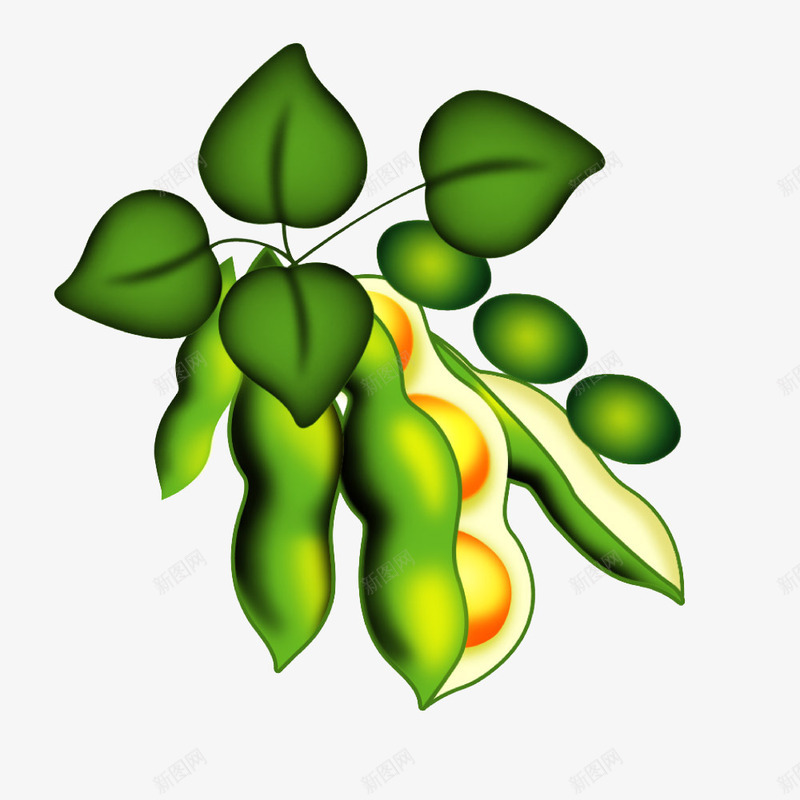 卡通绿色植物png免抠素材_新图网 https://ixintu.com 农业 农业科技 农产品 摄影图库 粮食 蔬菜 豆类 豌豆 食物原料 餐饮美食