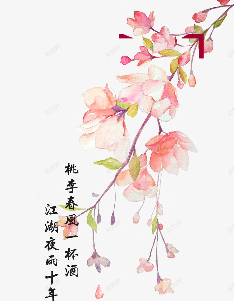 手绘樱桃枝psd免抠素材_新图网 https://ixintu.com 免扣樱桃枝 手绘樱桃枝 樱桃枝 粉色的花朵 绿色的叶子 花朵