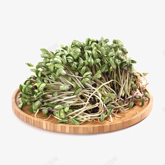 一盘青豆芽png免抠素材_新图网 https://ixintu.com 插图 看图识菜 蔬菜 豆芽 青豆芽 黑豆苗