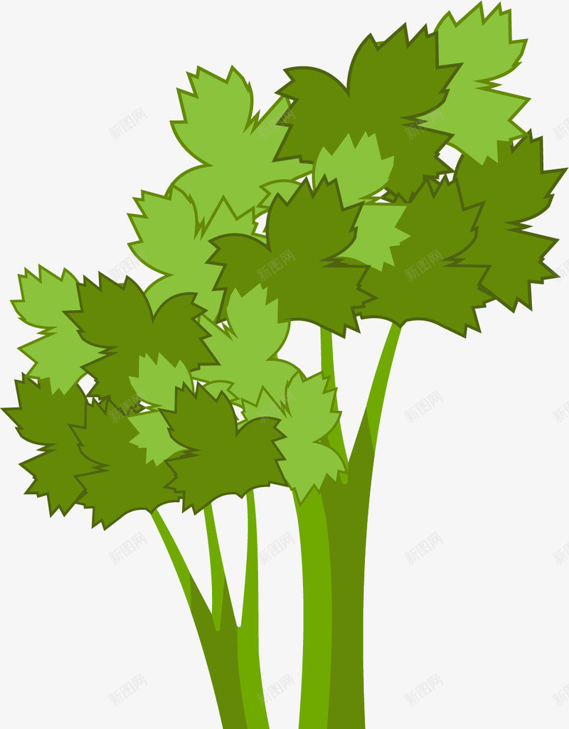 手绘精细的卡通芹菜矢量图ai免抠素材_新图网 https://ixintu.com 卡通芹菜 手绘 手绘芹菜 矢量芹菜 精细 绿色矢量芹菜 蔬菜 矢量图