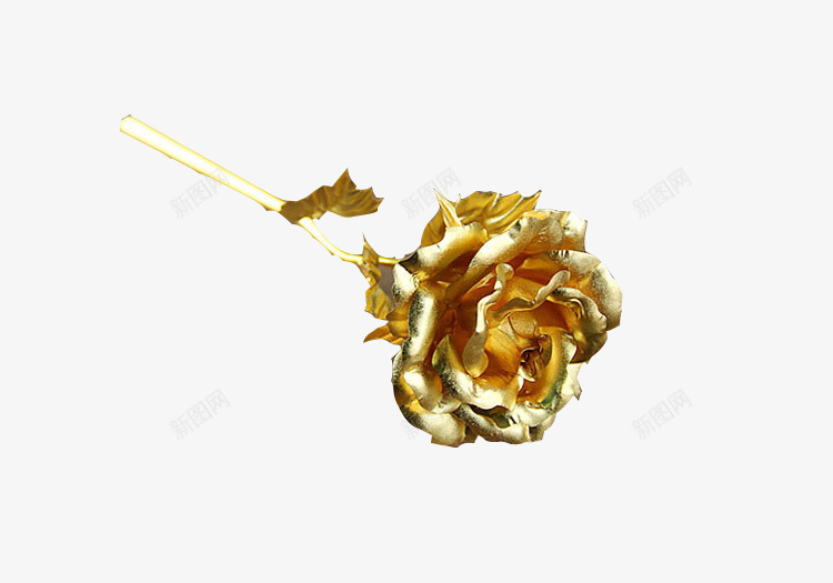 金色金箔玫瑰png免抠素材_新图网 https://ixintu.com 24金玫瑰 爱情 玫瑰花 金玫瑰 金箔玫瑰 金箔玫瑰花 镀金 黄金玫瑰