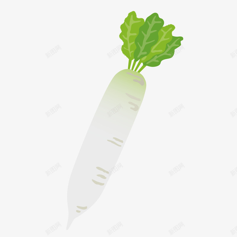 美味的大白萝卜简图png免抠素材_新图网 https://ixintu.com 卡通 叶子 大白萝卜 手绘图 简图 萝卜缨 蔬菜