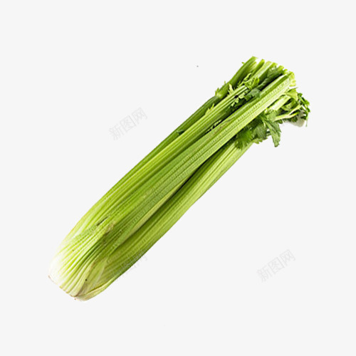 一捆芹菜png免抠素材_新图网 https://ixintu.com 产品实物 新鲜蔬菜 绿色 自营蔬菜 芹菜 西芹