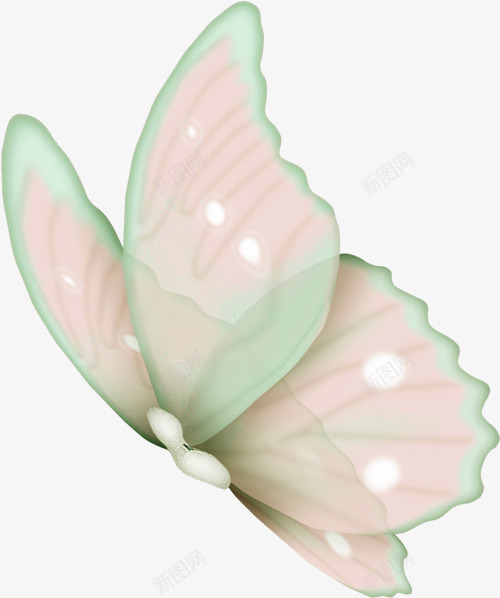透明的蝴蝶png免抠素材_新图网 https://ixintu.com nbs 唯美 展开的翅膀 彩色 彩色蝴蝶 梦幻 绿色 翅膀 翩翩起舞 蝴蝶 蝴蝶翅膀 飞翔