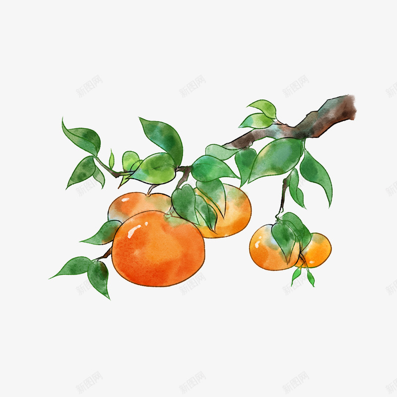 好吃的水果蔬菜元素png免抠素材_新图网 https://ixintu.com 水果 美味 美食 蔬菜