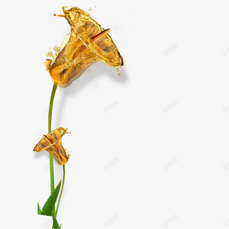 啤酒和植物psd免抠素材_新图网 https://ixintu.com 啤酒 植物 液体 花