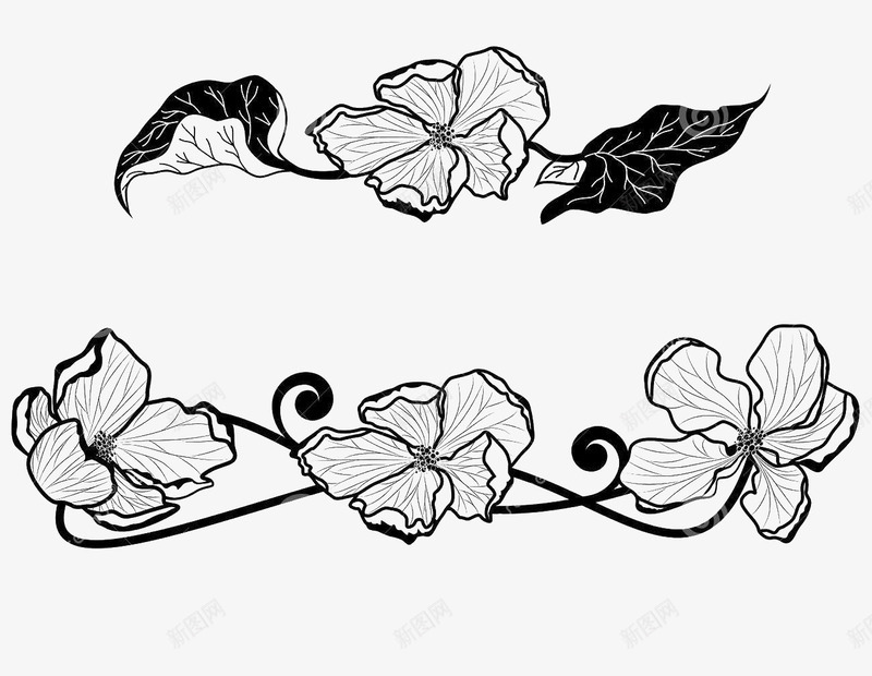 苹果花手绘png免抠素材_新图网 https://ixintu.com PNG图片 PNG图片素材 PNG素材 PNG素材免费下载 手绘 花藤 苹果花