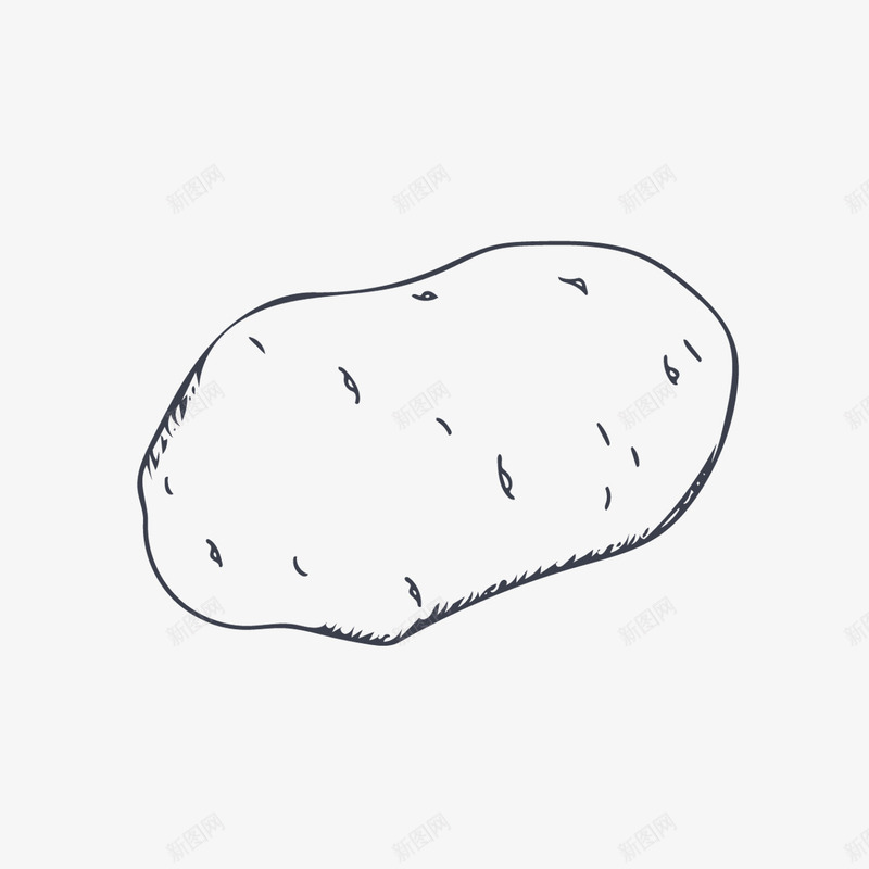 马铃薯png免抠素材_新图网 https://ixintu.com 手绘画 水果 蔬菜 食品餐饮 马铃薯