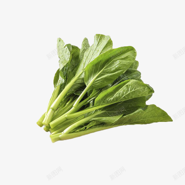青菜大叶蔬菜类png免抠素材_新图网 https://ixintu.com 大叶 大叶蔬菜 菜类图片 蔬菜 蔬菜类 青菜