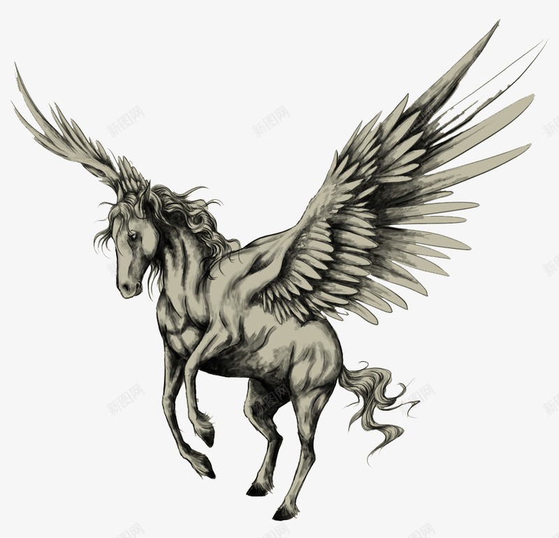 天马png免抠素材_新图网 https://ixintu.com 图案 天马 翅膀 马