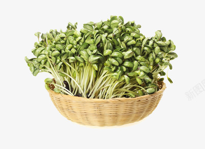 一篮子豆芽png免抠素材_新图网 https://ixintu.com 新鲜 绿色 蔬菜