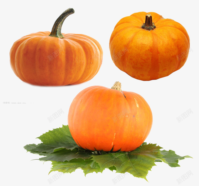 金黄色的南瓜png免抠素材_新图网 https://ixintu.com 万圣节南瓜 丰收 瓜类 秋收 蔬菜 食材