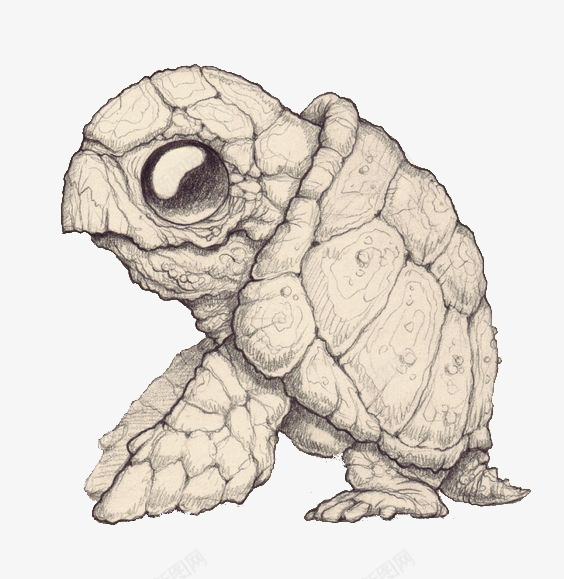 手绘千年海龟png免抠素材_新图网 https://ixintu.com 海洋生物 海龟翅膀 纹理 行走的海龟
