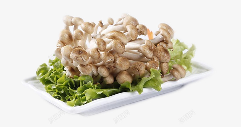 产品实物蟹味菇png免抠素材_新图网 https://ixintu.com 产品实物蟹味菇 盘子中的蟹味菇 蔬菜