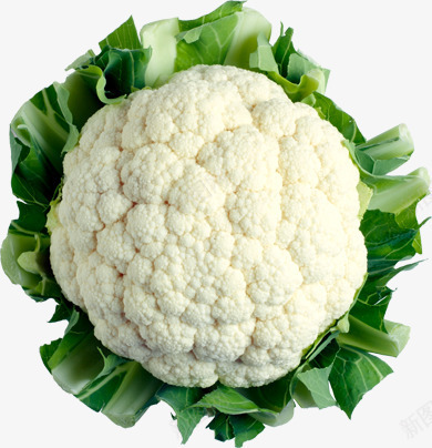 新鲜蔬菜菜花png免抠素材_新图网 https://ixintu.com 产品实物 新鲜蔬菜 有机蔬菜 绿色蔬菜 菜花 蔬菜