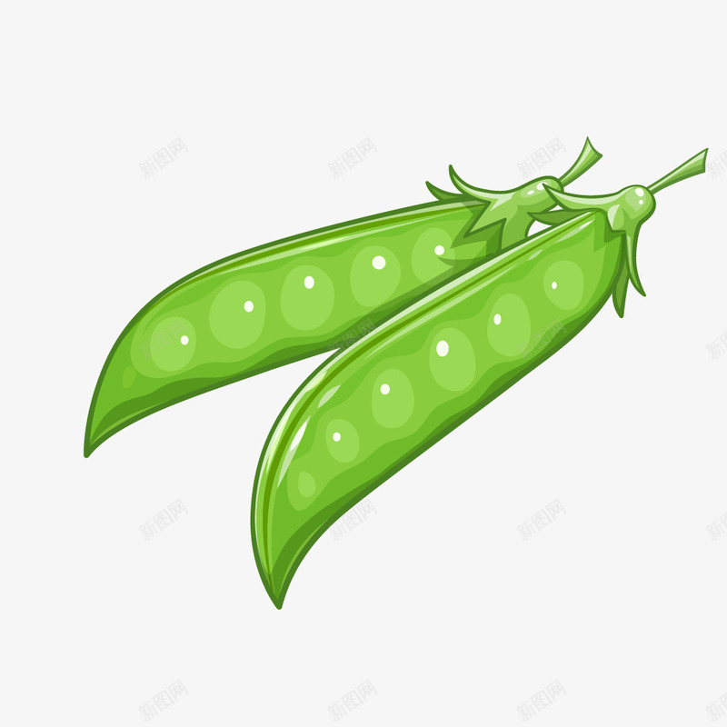 绿色植物蔬菜四季豆矢量图ai免抠素材_新图网 https://ixintu.com 四季豆 植物 绿色 绿色植物 蔬菜 矢量图