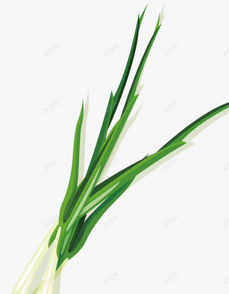 卡通大葱png免抠素材_新图网 https://ixintu.com 一捆 东北大葱 卡通 卡通食材 大葱 手绘 美味 蔬菜 食材 食物