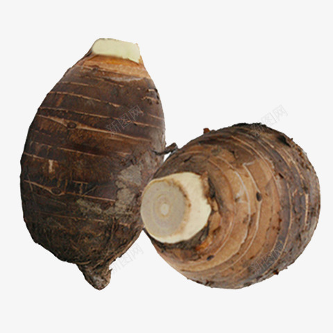 新鲜芋头png免抠素材_新图网 https://ixintu.com png素材 产品实物 新鲜 时令蔬菜 绿色食品 芋头 蔬菜 食物