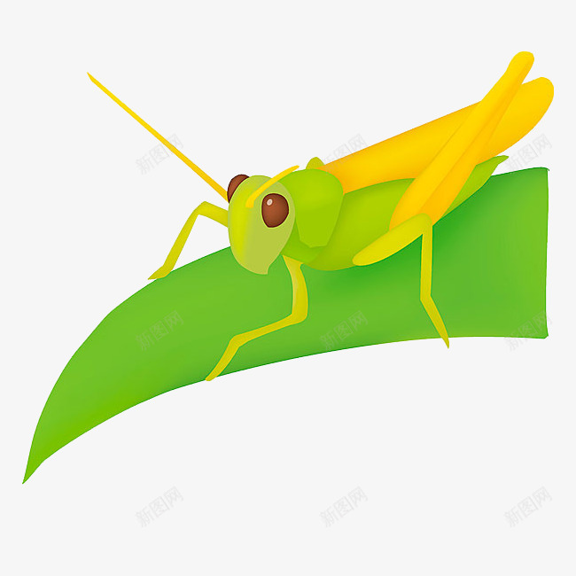 蟋蟀和树叶png免抠素材_新图网 https://ixintu.com 手绘 树叶 简图 绿色的 翅膀 蟋蟀 触角 黄色的